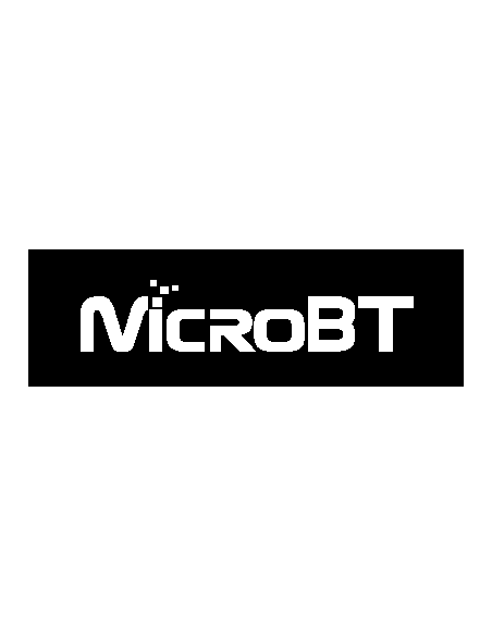 MicroBT